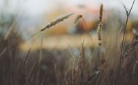 Tiptap 富文本编辑器开发提示词：适合 CMS、AI 写作和知识库系统